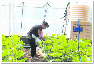 涿鹿縣供銷合作社 連接城鄉的橋梁與現代農業信息咨詢的領航者